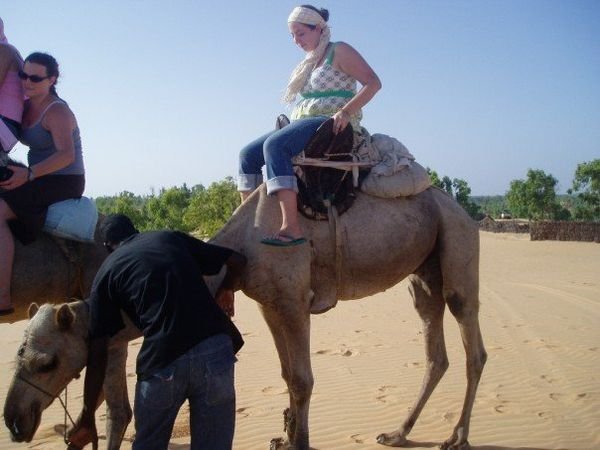 getting up on a camel is harder than you'd think!