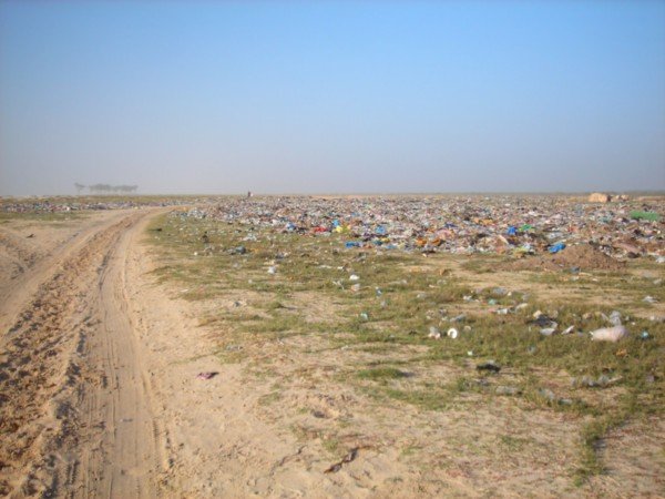 the obligatory field of garbage
