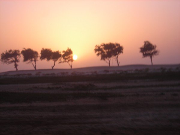 sunset over the grouping of trees that doubles as the border between the two countries