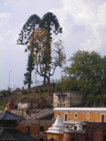 Hindu Temple