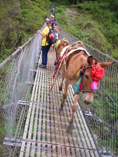 traffic jam on the suspension bridge