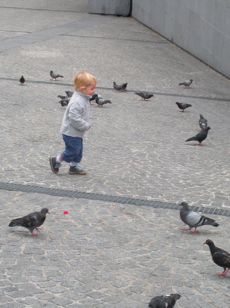 little French boy chasing the pigeons 