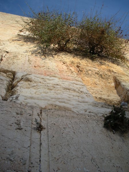 a view of the upper portion of the Western Wall