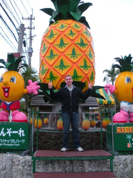 Chris at Nago Pineapple Park