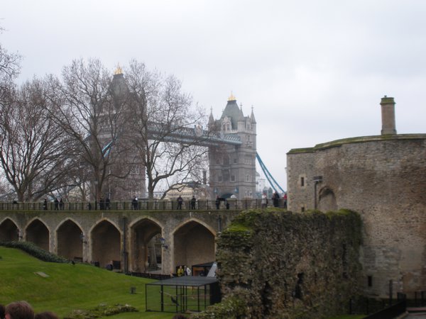view from the Tower of London