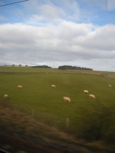 view from the train on the way to Glasgow