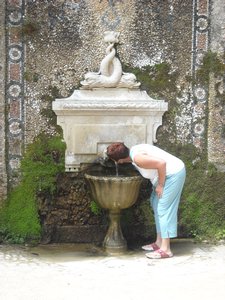 drinking from the Fount of Abundance 