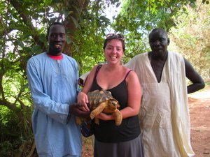 Ousmane, me, our taxi driver and the obese turtle