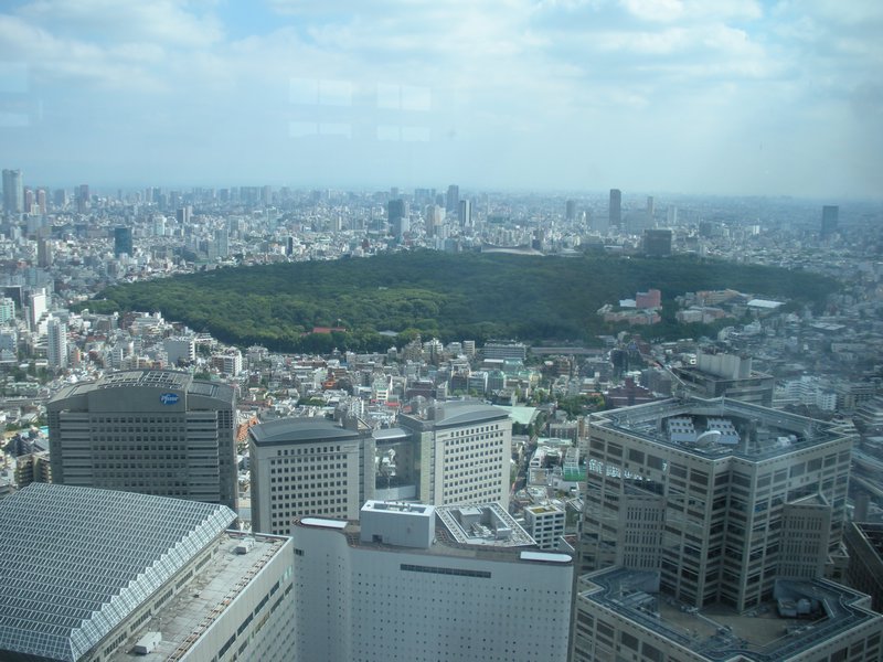 view from Tokyo Metropolitan Government Building 
