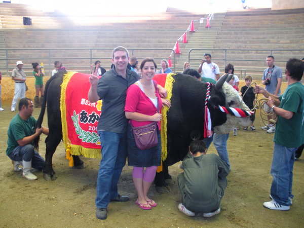 with a champion bull, Uruma City