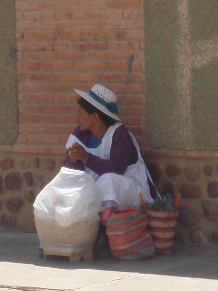 Typical Bolivian Lady