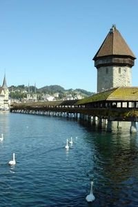 Chapel Bridge and the Swans, Luzern