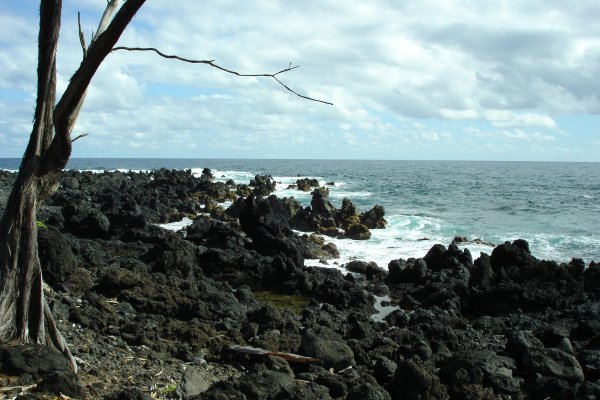 lava rock beach