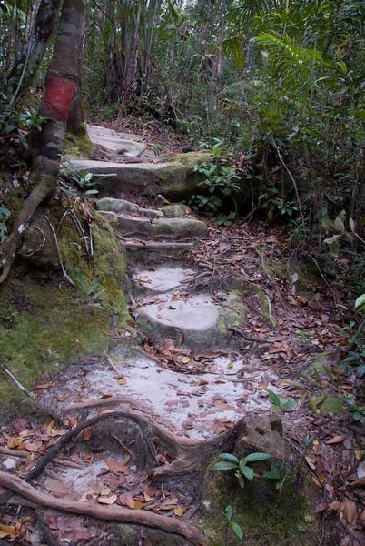 path up: rocks