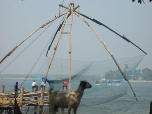 Chinese Fishing Nets - Ft. Cochin