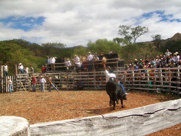 vilcabamba Rodeo