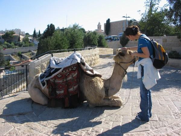 Sara and Camel