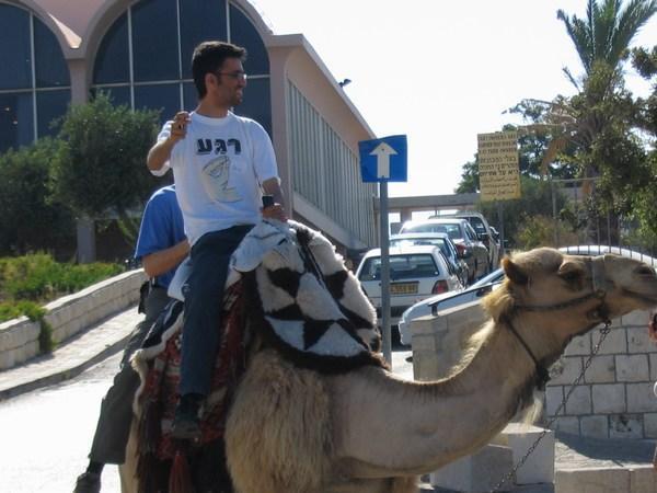 Aziz and Camel
