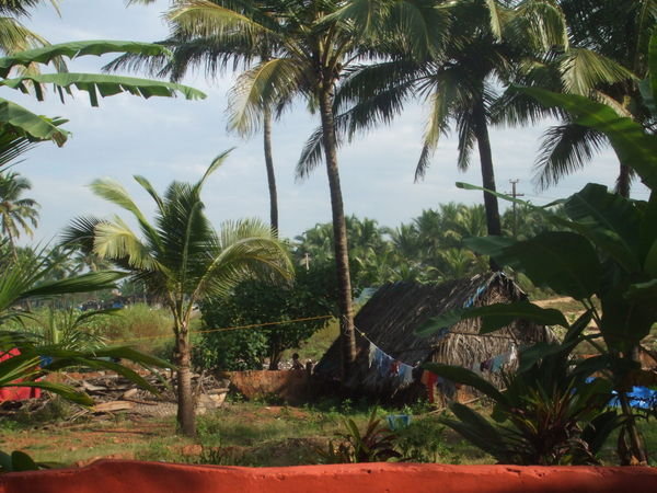 View from our room - Goa