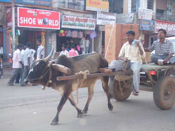 Street Scene - Mangalore