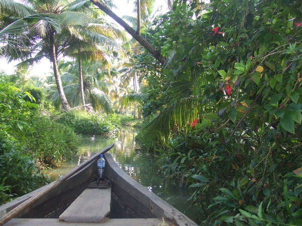 Backwater Boat Trip - Kerala