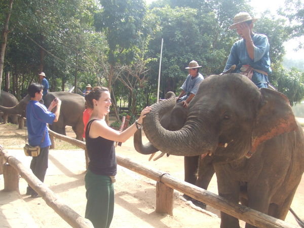 Clare Feeding Elephant