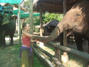 Jem stroking Elephant Trunk