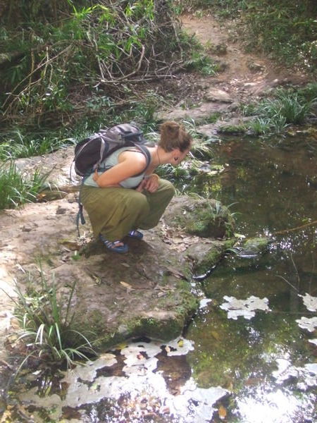 Jem looking at Tadpoles in NamNao