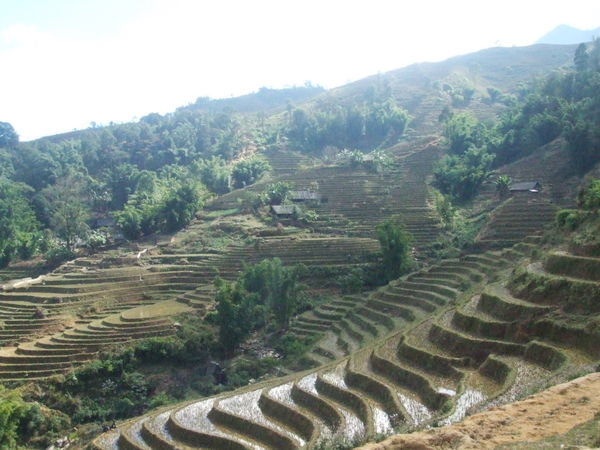 Another amazing view from our trek in Sapa