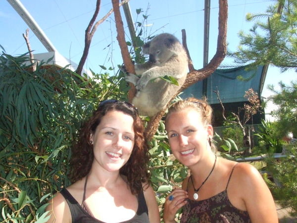 Clare & Jem with a koala