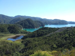 View from our walk through Tasman National Park