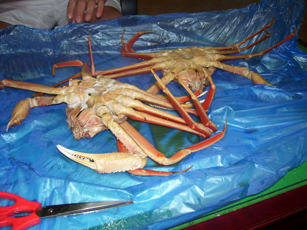 Our delicious crab 