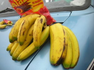 A twin banana