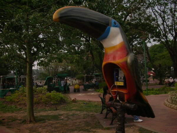 Toucan Telephone booth