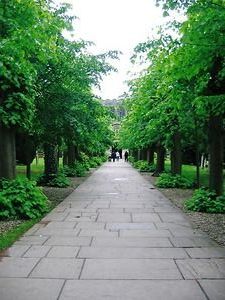 Pathway leading to Trinity Church