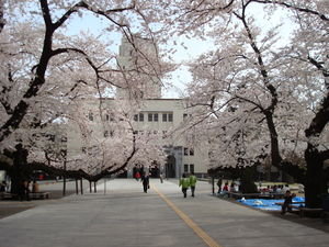 tokadai university