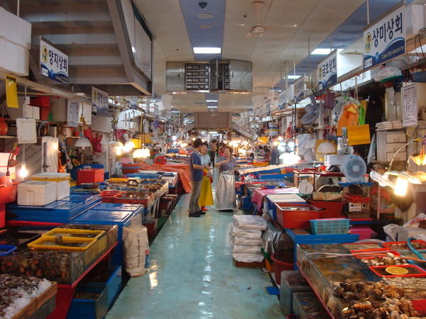 fishmarket all still alive