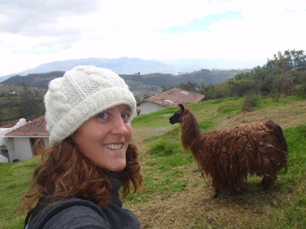 Hiking with llamas