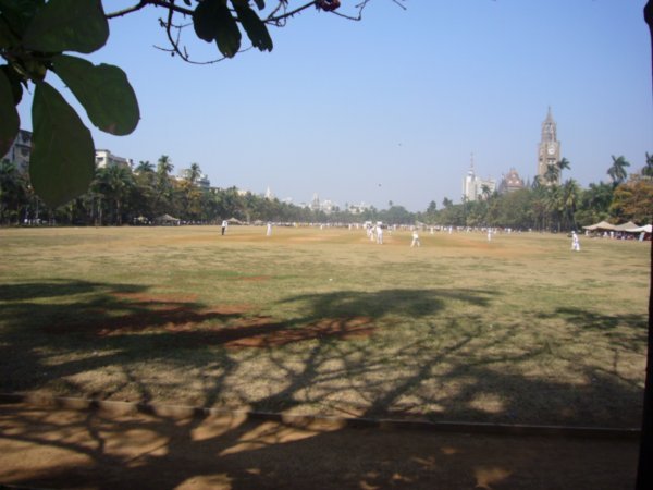 Cricket Field Nearby