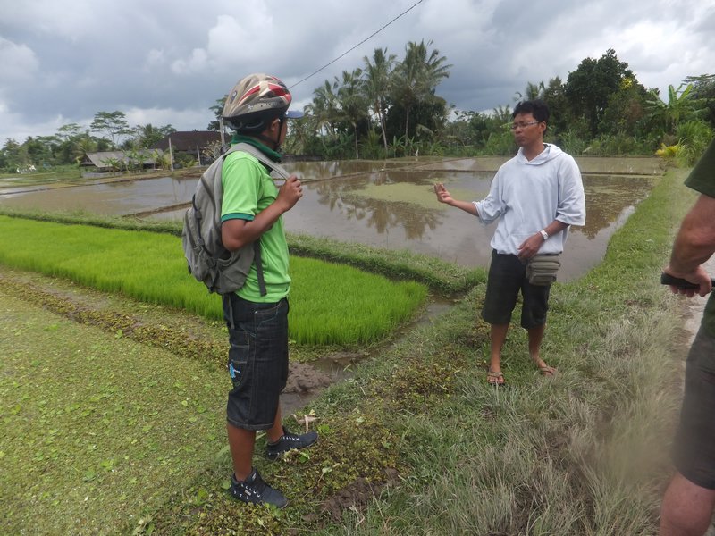 Our guides by paddy fields
