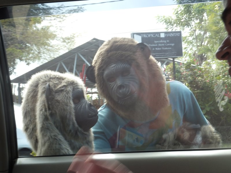 Selling Monkey Masks in Traffic James