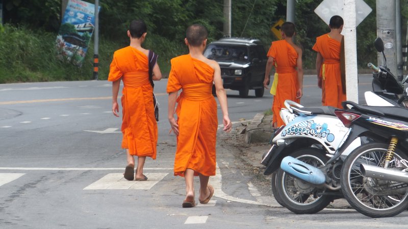 Chiang Mai - Young Monks