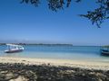 looking from meno to gili t