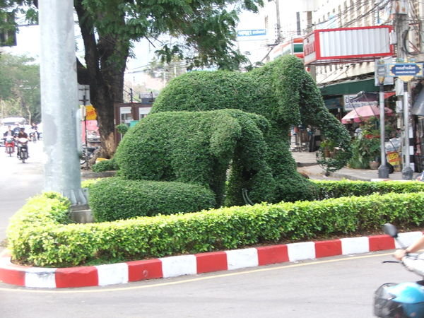 elefantok
