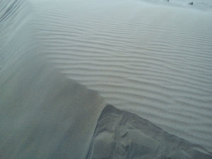 Zandvoorti sivatagban