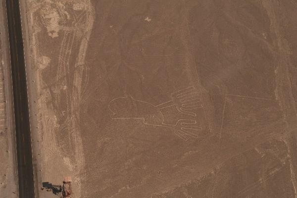 One of the Nazca lines (a bird)