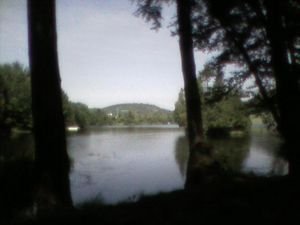 Campsite on Charleston Pond