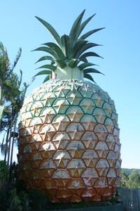 Big Pineapple!