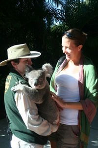 Lawson the Koala, Australia Zoo