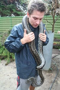 Carpet snake gets a little too near trouser snake for Julian's liking!